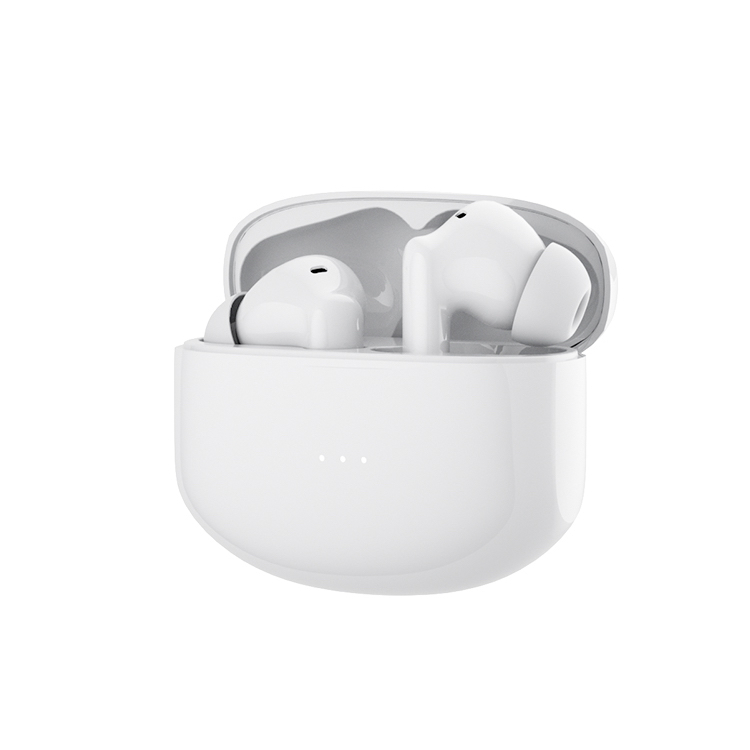 Active Noise Canceling Earbuds